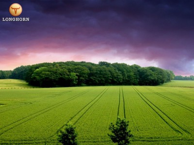 longhorn-beautiful-sky-jpg.jpg