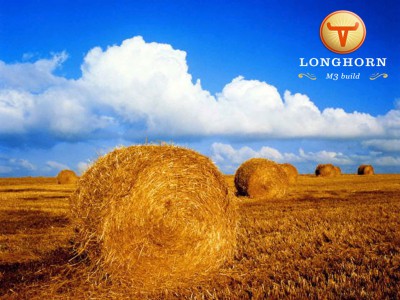 longhorn-original-jpg.jpg