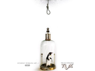 full-tuxinabottle.jpg